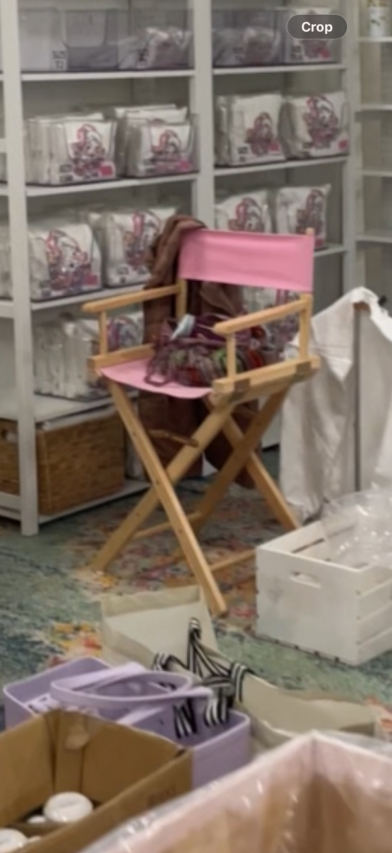 Pink directors chair