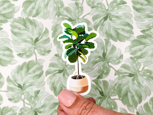 Fiddle Fig Leaf Plant Vinyl Sticker, 4 inches