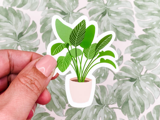 Dieffenbachia Plant Vinyl Sticker, 3 inches