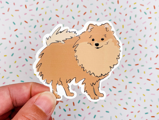 Pomeranian Illustration Vinyl Sticker 3 inches