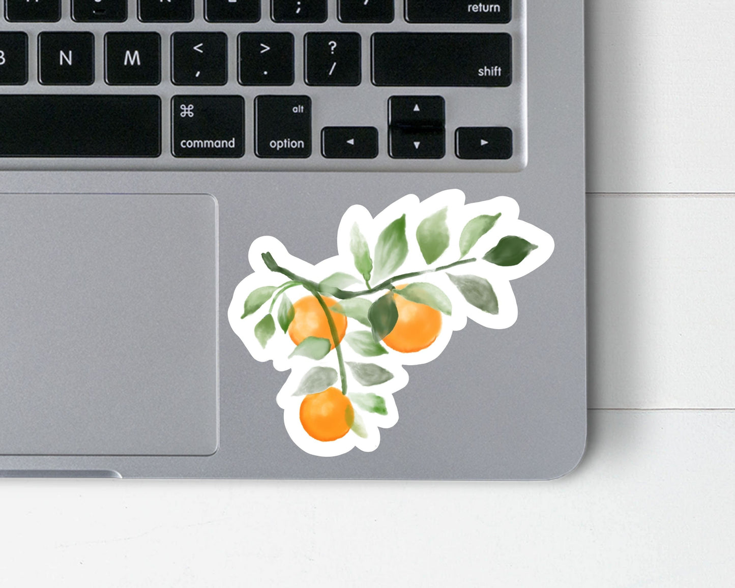 Orange Branch Watercolor 4 inch Sticker