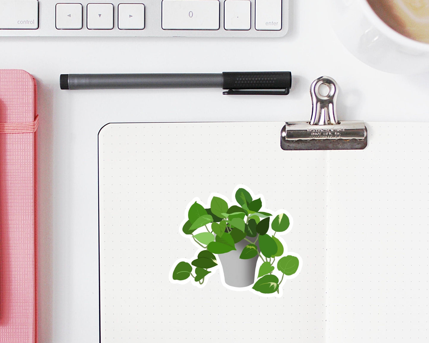 Pothos House Plant Sticker