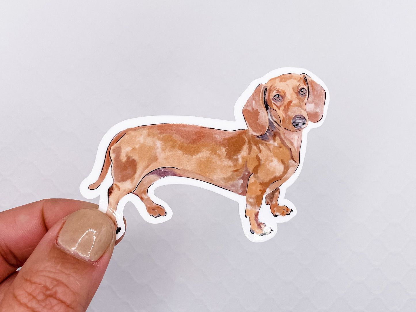 Watercolor Dachshund Vinyl Sticker 3 inches wide, Dog Parent Animal Lover Dog Mom Dad Puppy Cute Doxie Dog Breed