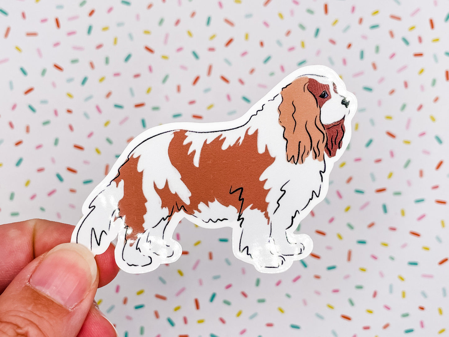 Cavalier King Charles Illustration Vinyl Sticker 3 inches