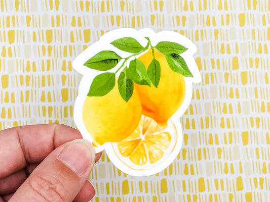 Lemon Slice 3 inches