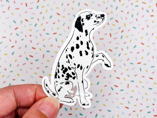 Dalmation Illustration Vinyl Sticker 3.25 inches