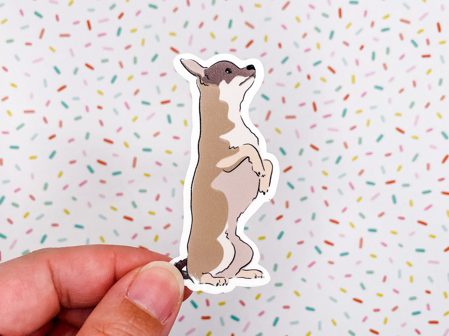 Chihuahua Illustration Vinyl Sticker 3 inches